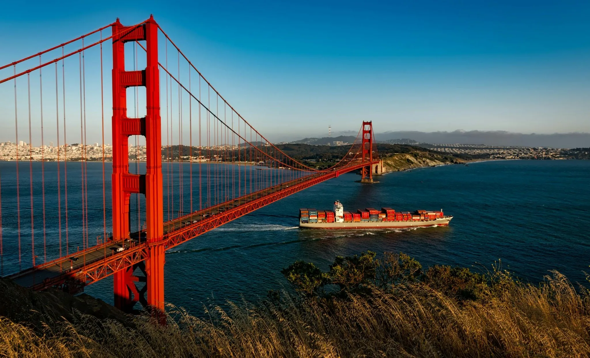 Container ship near the bridge